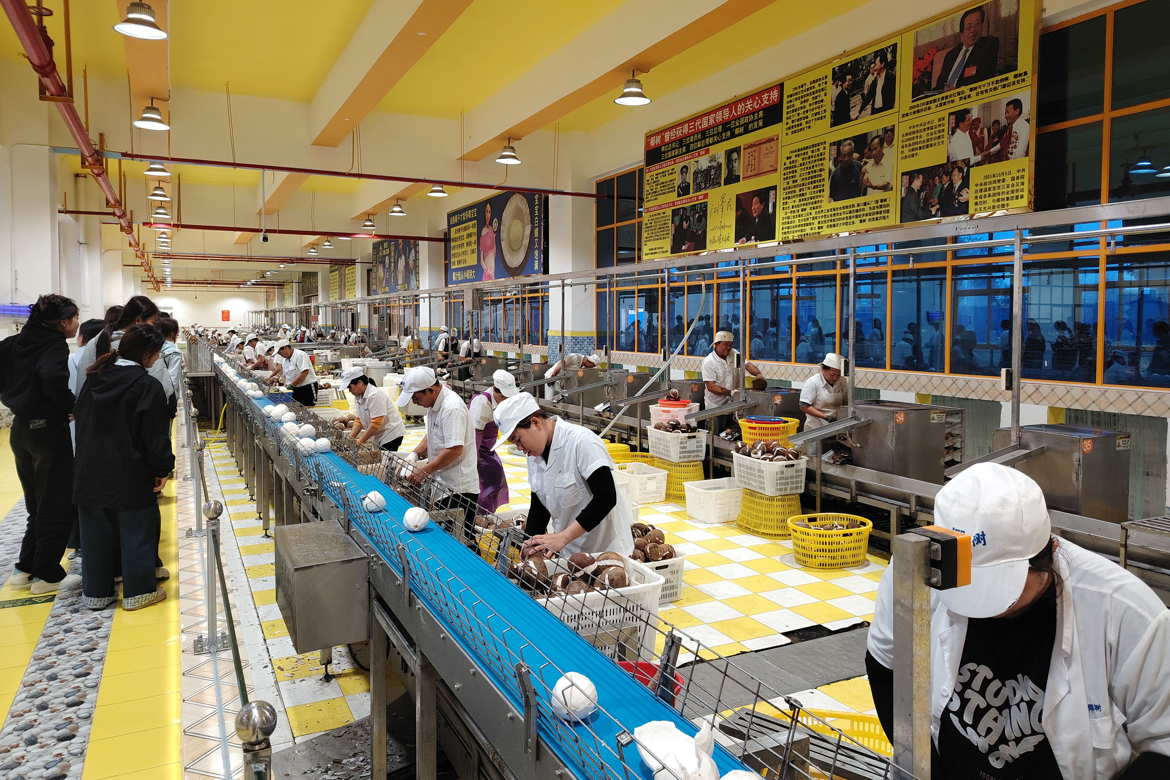 1764232155434342.jpg 1764232155434342.jpg