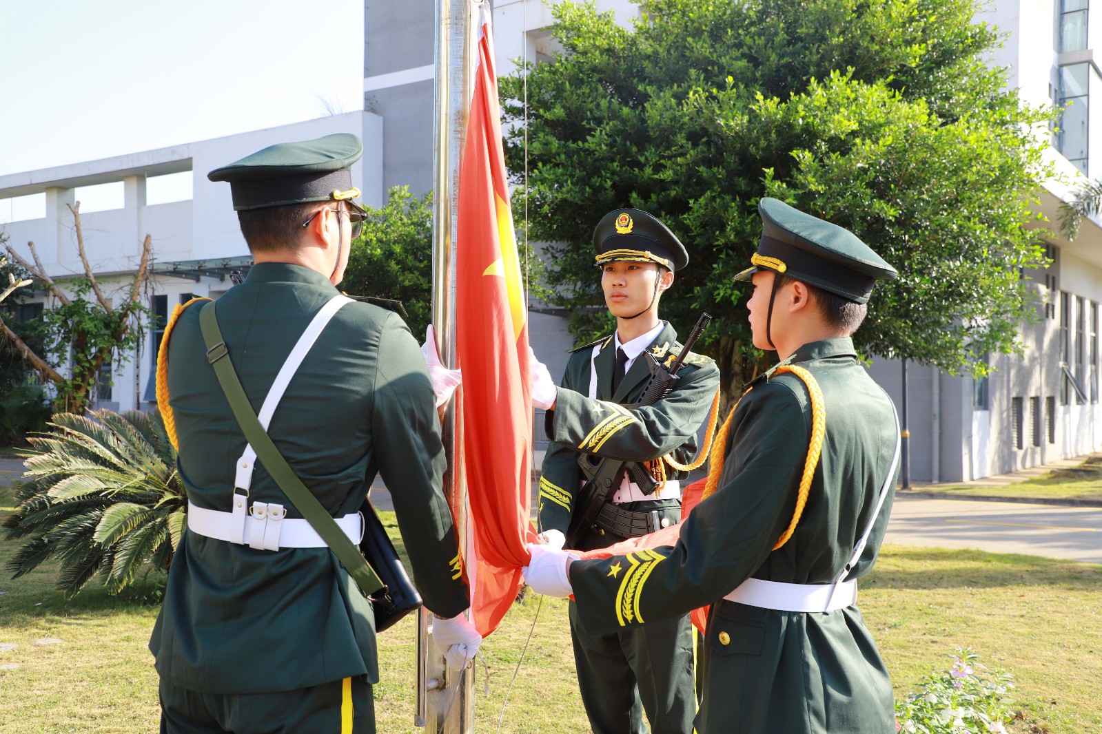 1767860025791140.jpg IMG_0191.jpg